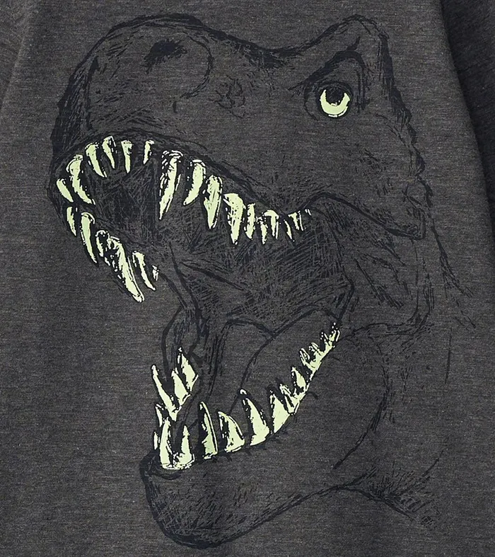 Boys TRex Glow In The Dark Long Sleeve TShirt Hatley