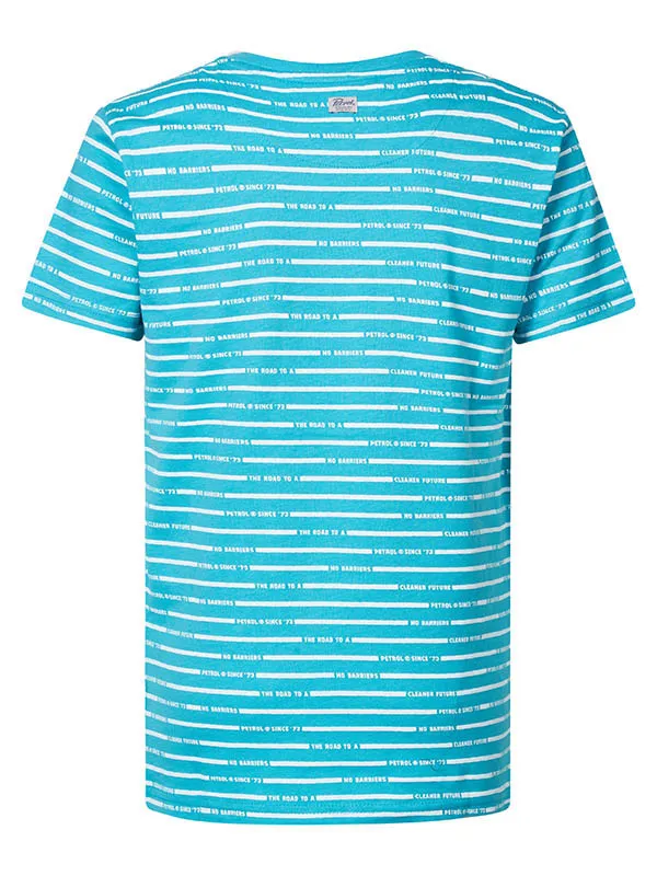 Boys TShirts Petrol Industries Striped VNeck TShirt Ranking Green