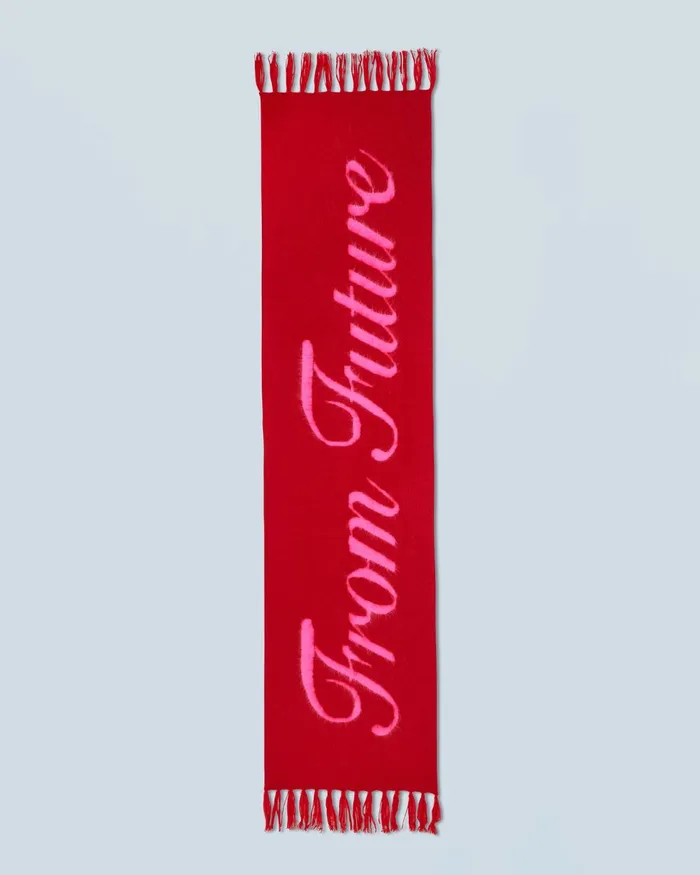 Cashmere Scarves and Collars From Future Fringed Scarf Dark Red
