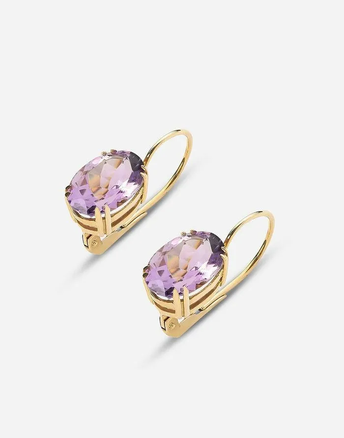 Dolce and Gabbana Earrings Women Anna Earrings In Yellow 18kt Gold With Amthysts Gold