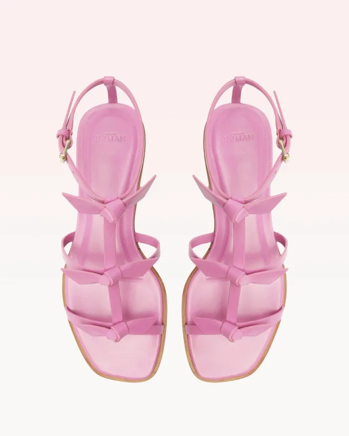 Flats Women Alexandre Birman Slim Lolita Flat Rosette 8211 Casual Flat Sandals For Rosette