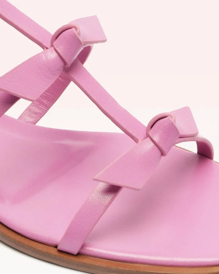 Flats Women Alexandre Birman Slim Lolita Flat Rosette 8211 Casual Flat Sandals For Rosette