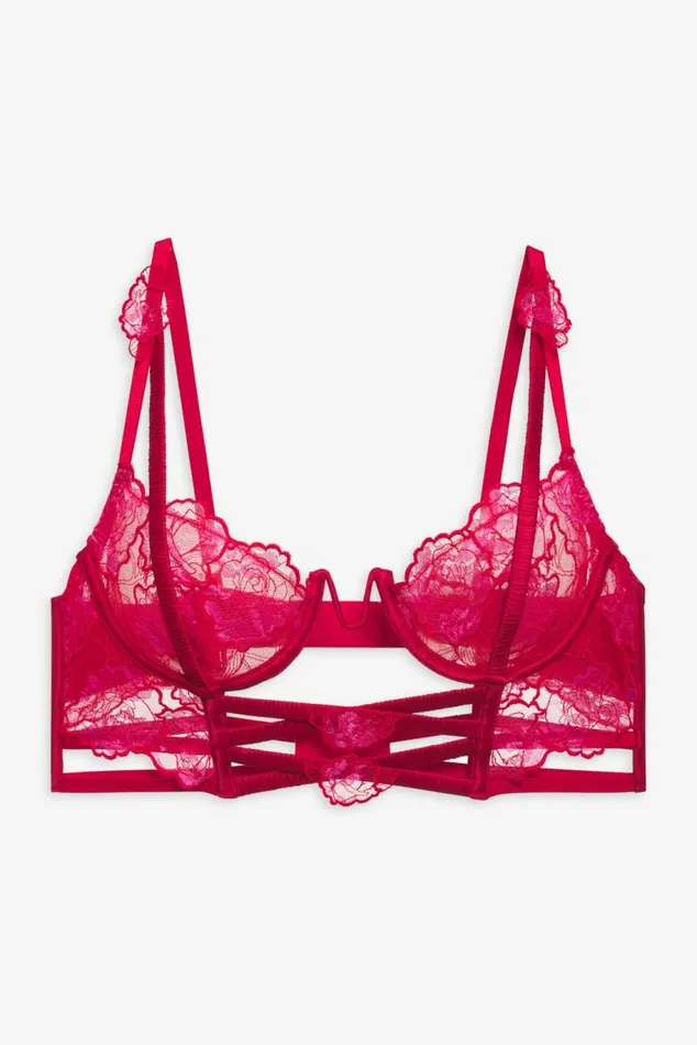 For Love and Lemons Lingerie Cordelia Lace Bustier Red 8211 Women For Love and Lemons Lingerie Cordelia Lace Bustier Red 8211 Women