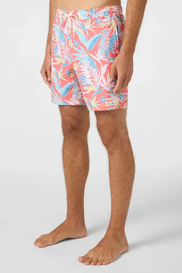 HERMOSA EWAIST 17034 BOARDSHORTS Men O039NEILL Type