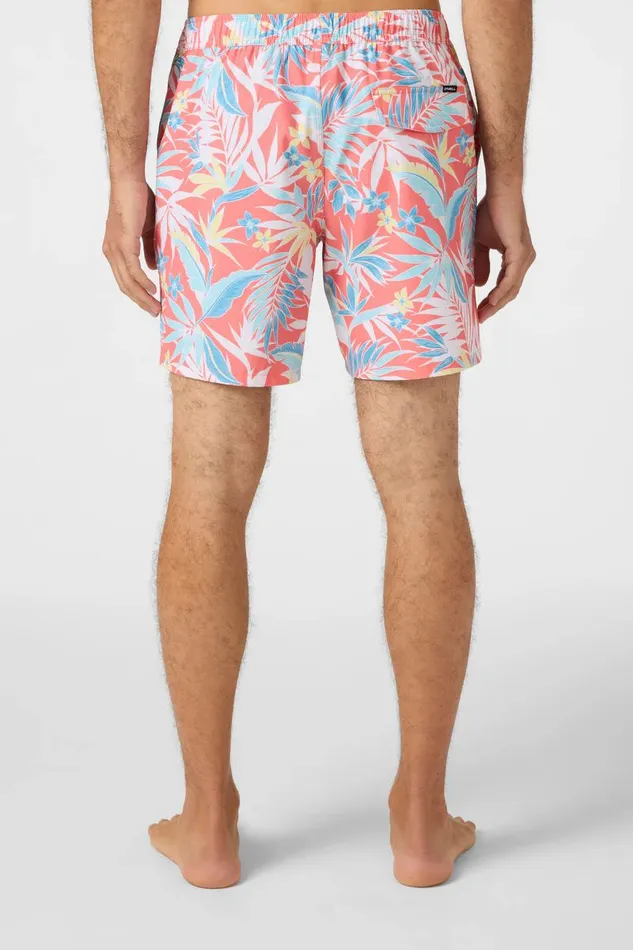 HERMOSA EWAIST 17034 BOARDSHORTS Men O039NEILL Type