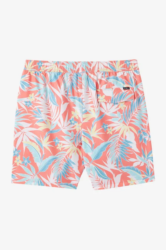 HERMOSA EWAIST 17034 BOARDSHORTS Men O039NEILL Type