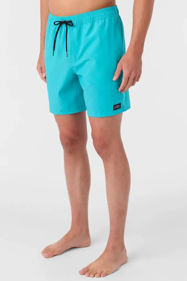 LENNOX HERMOSA SOLID VOLLEY 17034 SWIM TRUNKS Peacock Blue Men O039NEILL Type
