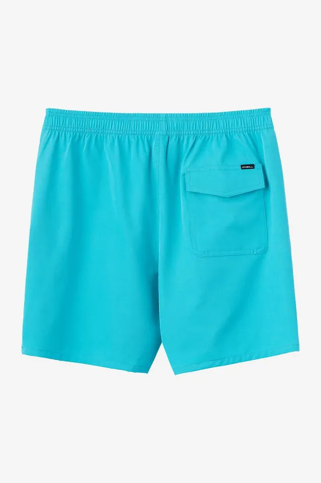 LENNOX HERMOSA SOLID VOLLEY 17034 SWIM TRUNKS Peacock Blue Men O039NEILL Type