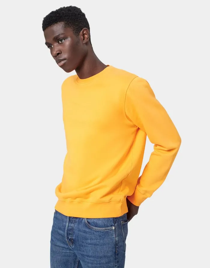 Men Crewneck Sweatshirts Colorful Standard Classic Organic Crew Limestone Grey