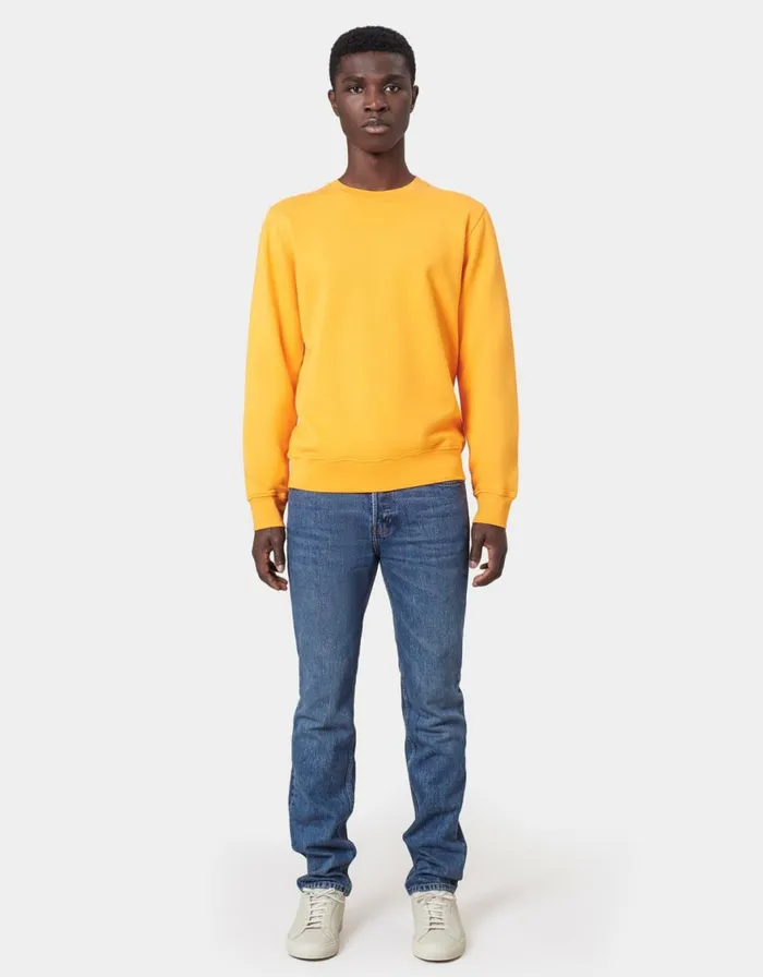 Men Crewneck Sweatshirts Colorful Standard Classic Organic Crew Limestone Grey