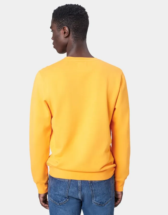 Men Crewneck Sweatshirts Colorful Standard Classic Organic Crew Limestone Grey