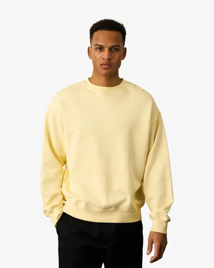 Men Crewneck Sweatshirts Colorful Standard Organic Oversized Crew Misty Brown