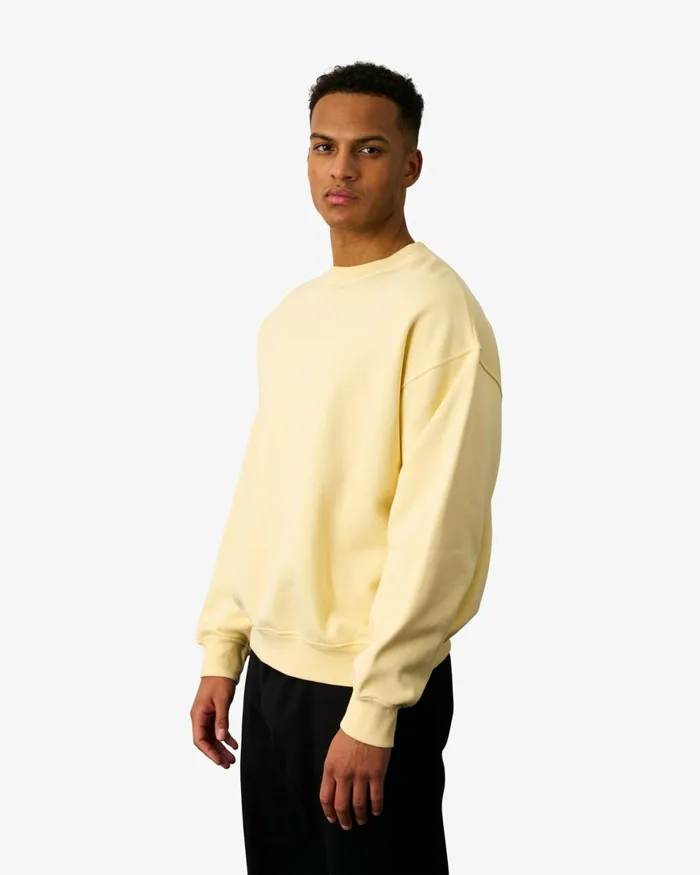 Men Crewneck Sweatshirts Colorful Standard Organic Oversized Crew Misty Brown