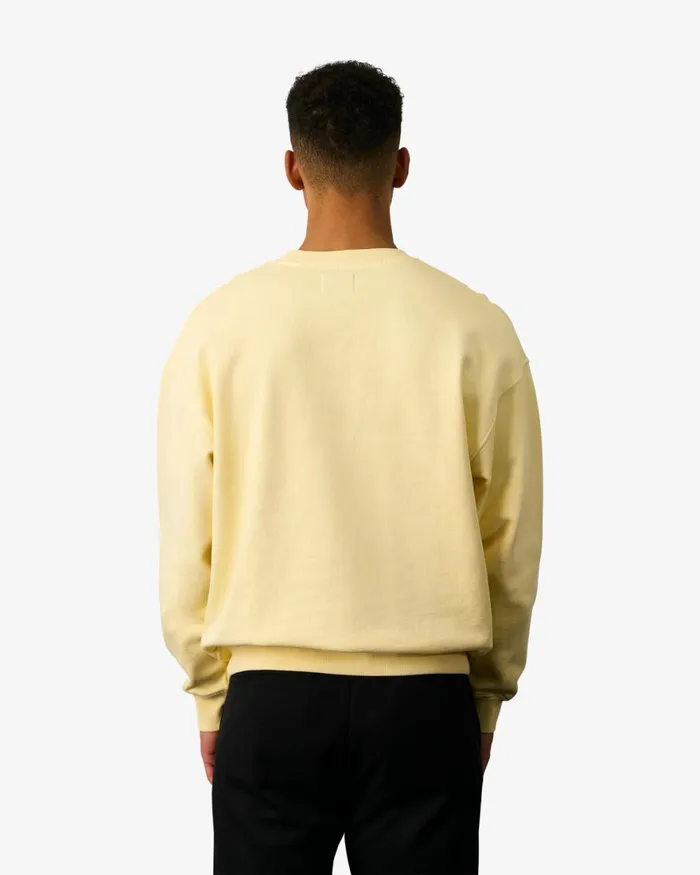 Men Crewneck Sweatshirts Colorful Standard Organic Oversized Crew Misty Brown