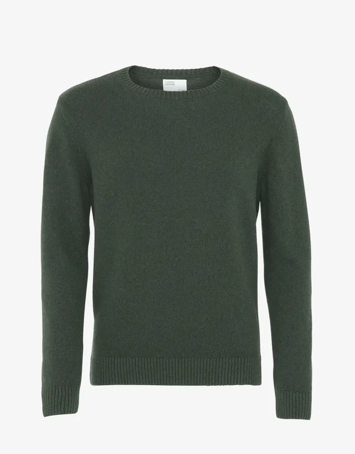Men Knit Sweaters Colorful Standard Classic Merino Wool Crew Emerald Green