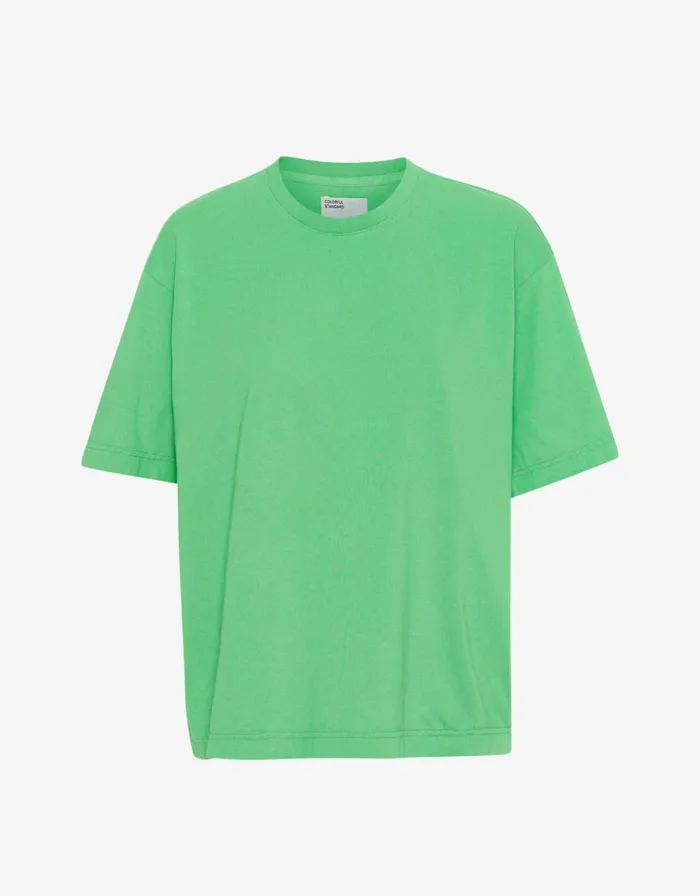 Men TShirts Colorful Standard Oversized Organic TShirt Spring Green