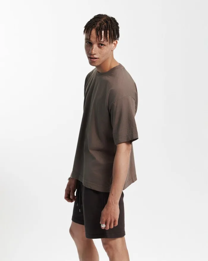 Men TShirts Colorful Standard Oversized Organic TShirt Spring Green
