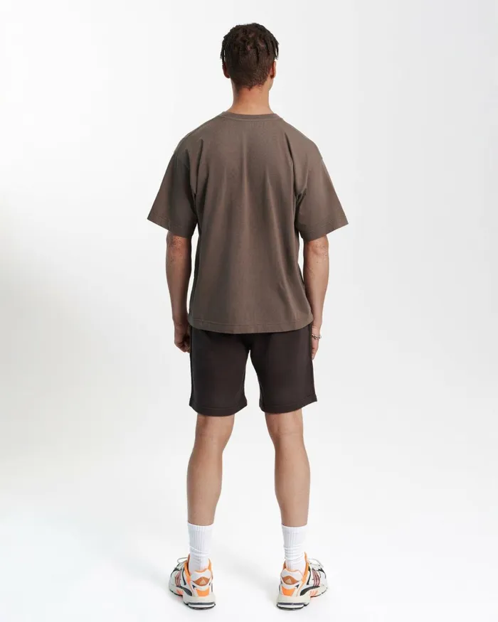 Men TShirts Colorful Standard Oversized Organic TShirt Spring Green