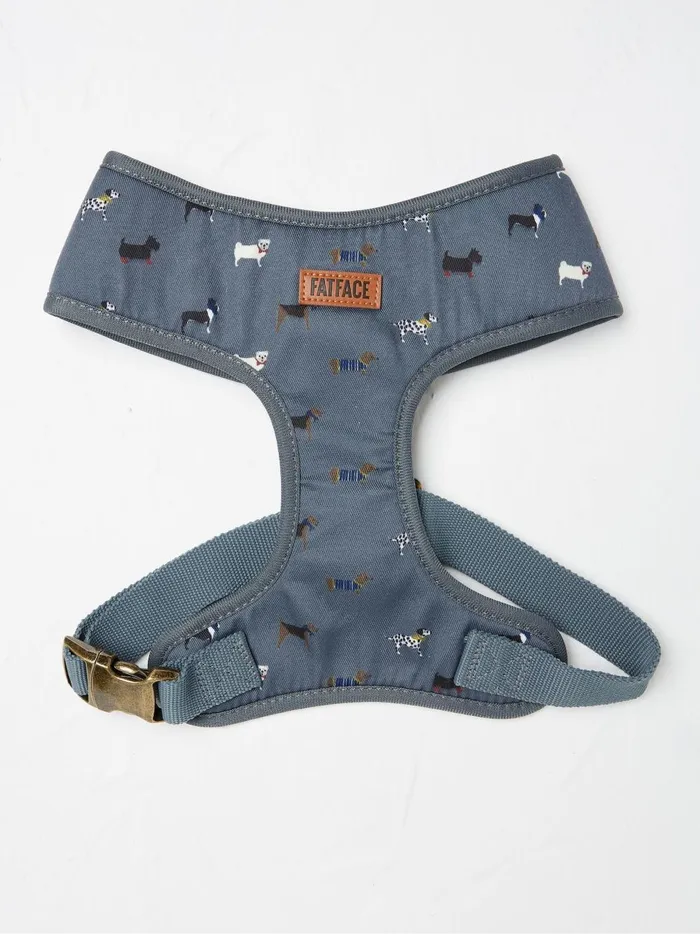 Pet Accessories Fat Face Grey Dogs Large Harness