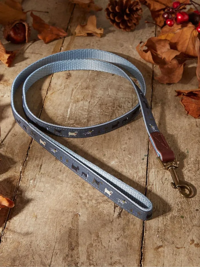 Pet Accessories Fat Face Grey Dogs Small Lead