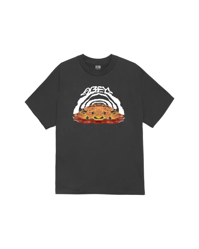 TAKE THE LEAP CLASSIC TSHIRT Vintage Black TSHIRTS OBEY Clothing Men