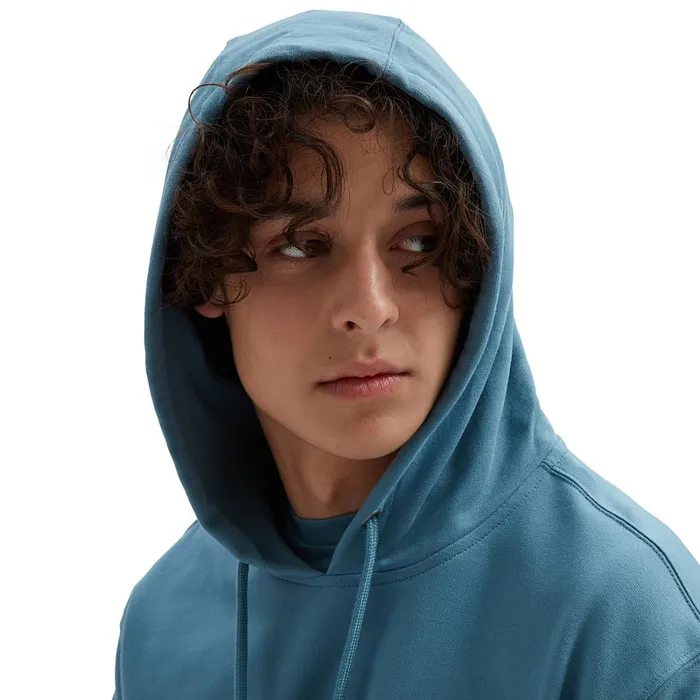 Vans Hoodies and Sweatshirts Men Sidestripe Block Pullover Hoodie Black