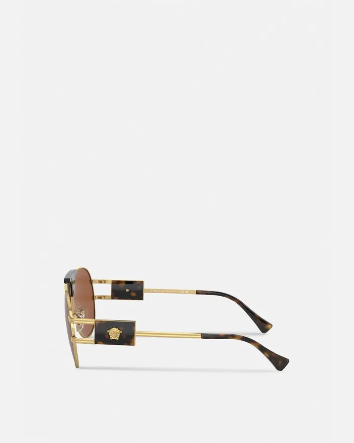 Versace Special Project Sunglasses Havana Men Sunglasses