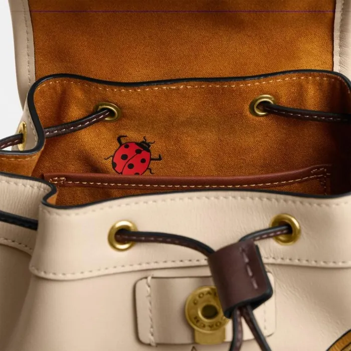 Women Backpacks Coach Coach X Observed By Us Riya Backpack 21 In Colorblock Brassivory Multi Women Backpacks Coach Coach X Observed By Us Riya Backpack 21 In Colorblock Brassivory Multi