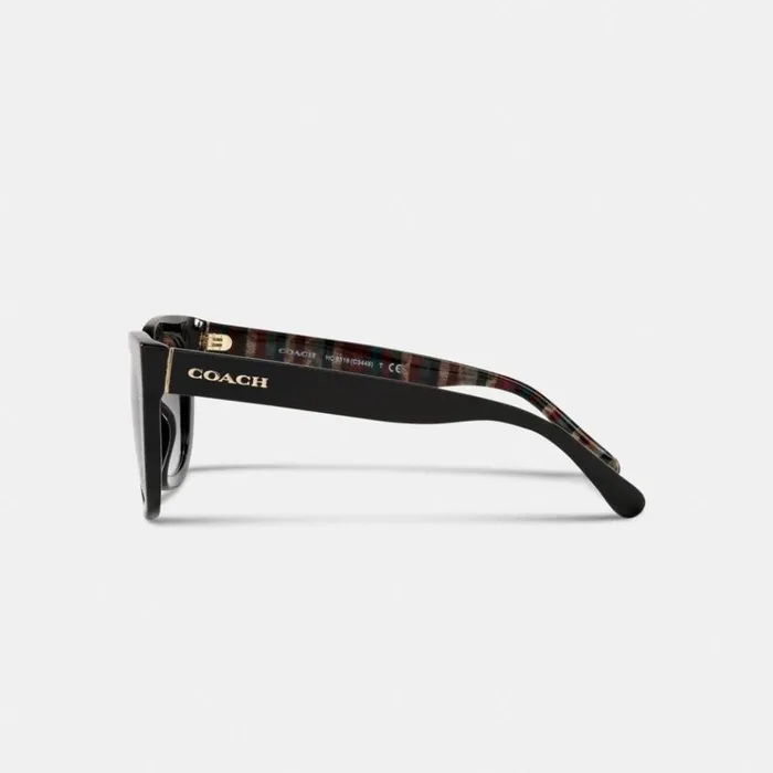 Women Eyewear Coach Legacy Stripe Square Sunglasses Black